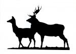 Large Stag & Hind / Doe / Deer Weathervane or Sign Profile - Laser cut 435mm